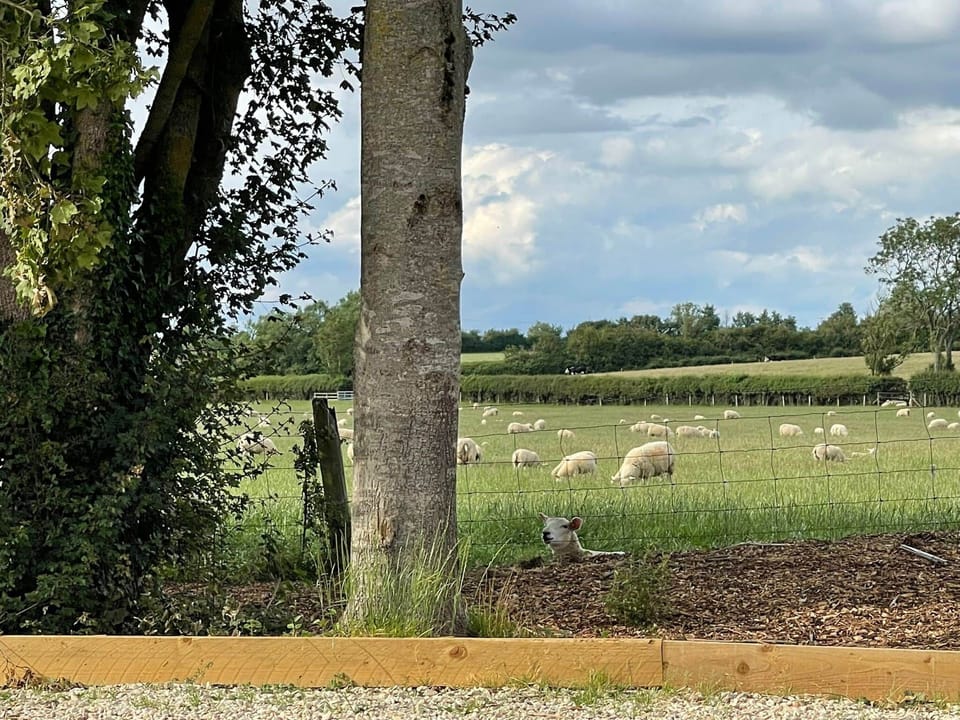 Wake up to grazing sheep and peaceful rural Cotswold views