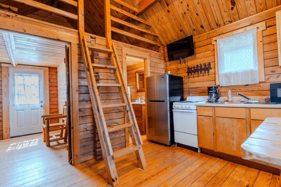 Basic Cabin, Pets Allowed, Lake View | Private kitchen
