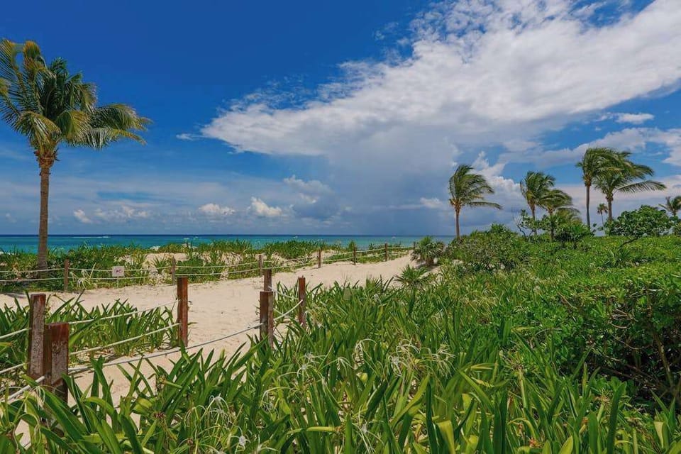 Aerial view of the beachfront resort