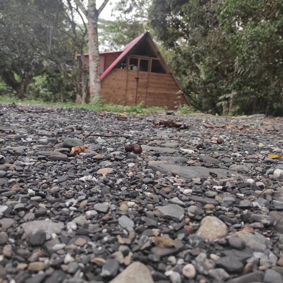 Cabin, 3 Bedrooms, Smoking, Balcony | Property grounds
