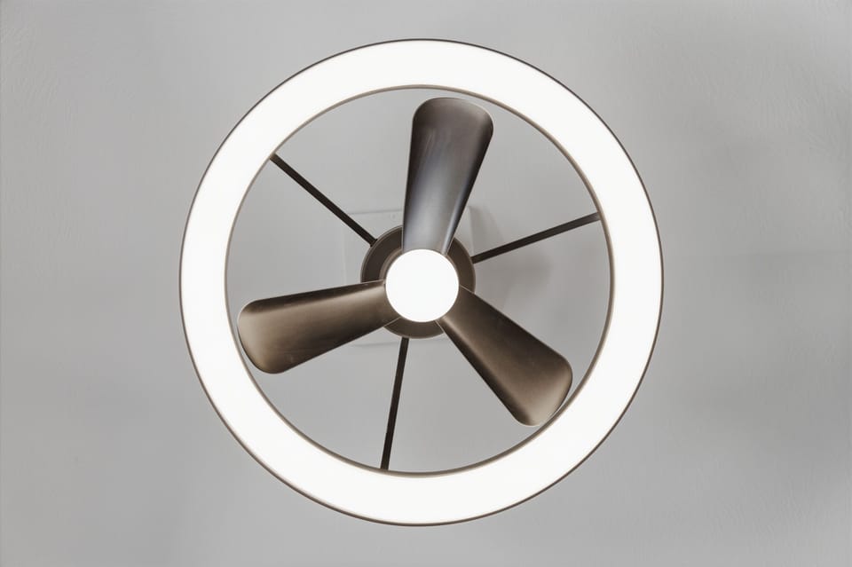 Fan