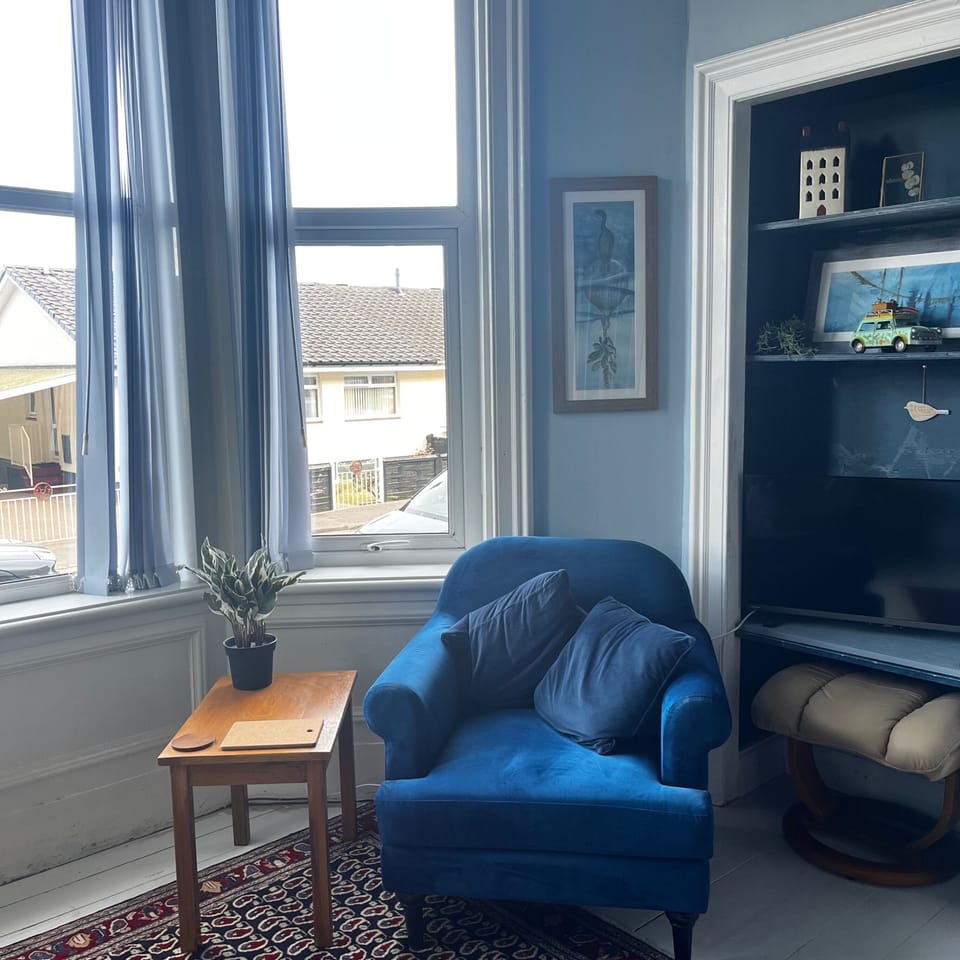Flat-screen TV