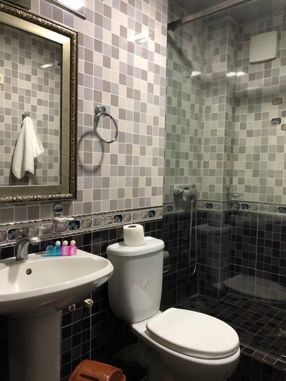 Shower, free toiletries, hair dryer, towels