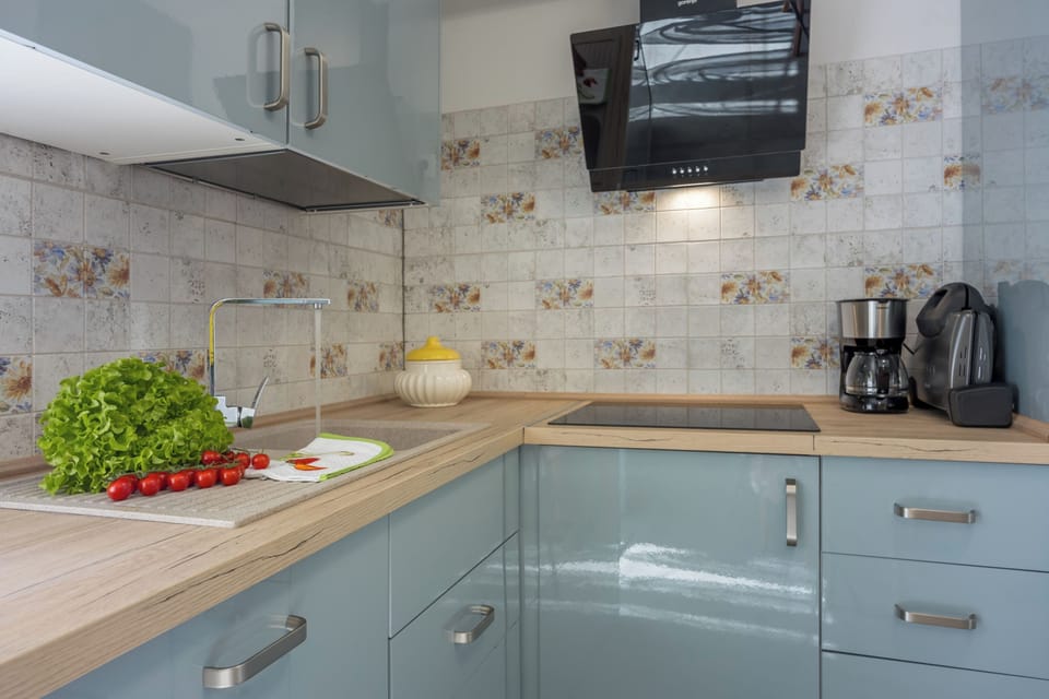 Family Apartment, 1 Bedroom, Terrace (Apartment Arya Puče) | Private kitchen
