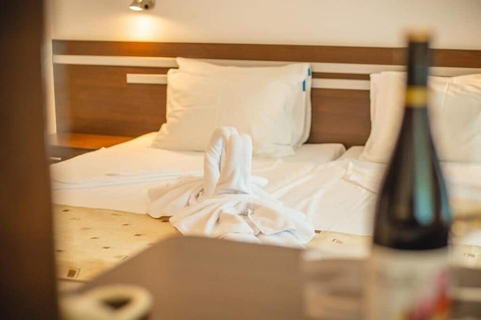 Twin Room, Balcony, Pool View | Free WiFi