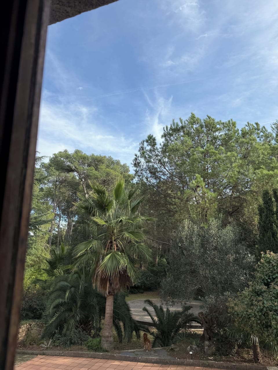 View from property