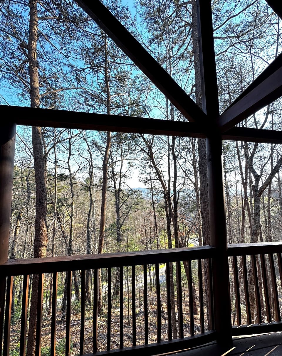 View from the back deck