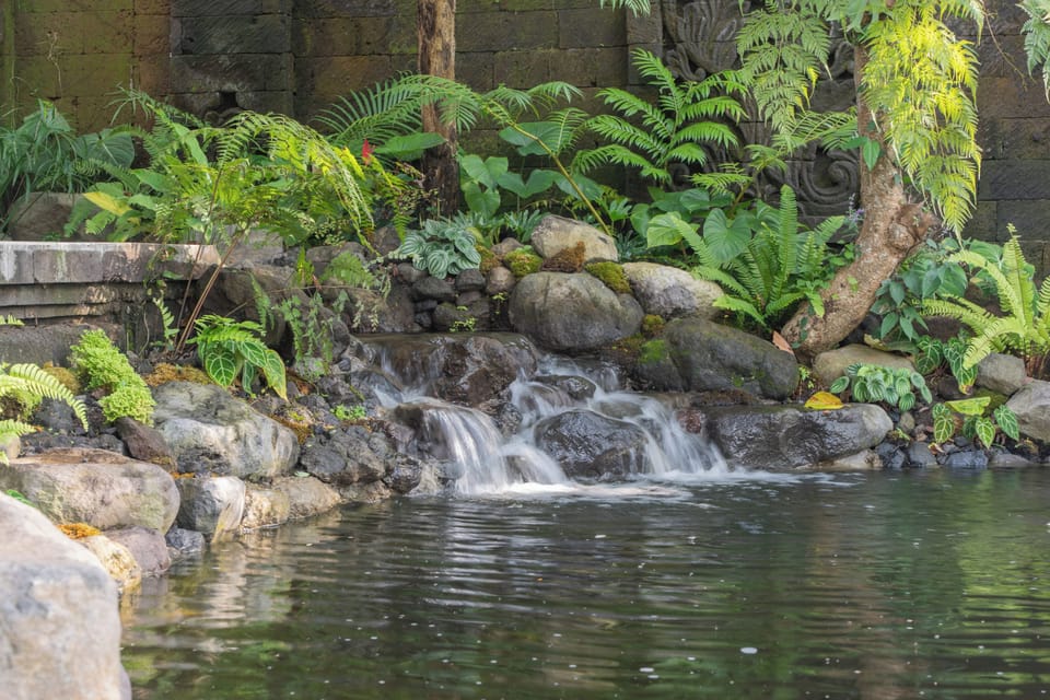 Natural pool