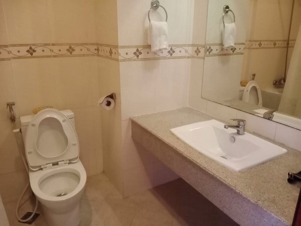 Deluxe Double or Twin Room | Bathroom | Towels, soap, shampoo, toilet paper