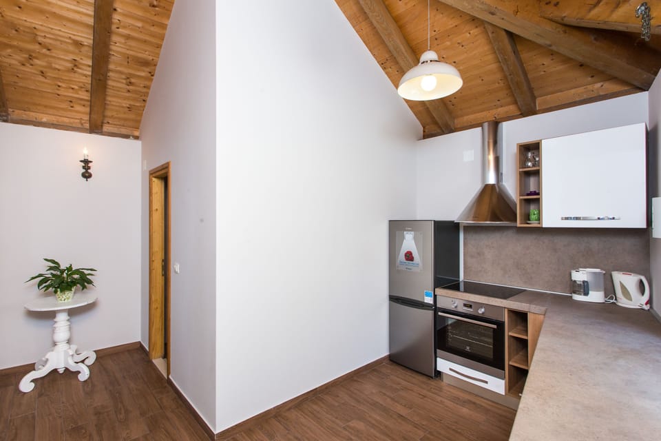 Apartment, 1 Bedroom, Terrace, Sea View | Private kitchen | Fridge, stovetop, cookware/dishes/utensils