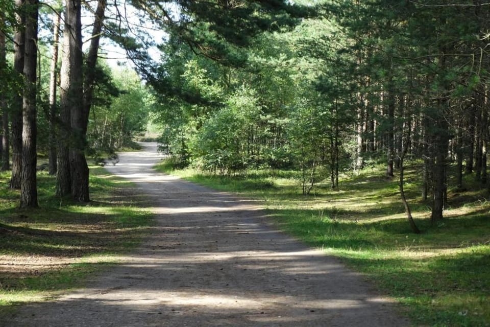 Surroundings [summer] (1-5 km)
