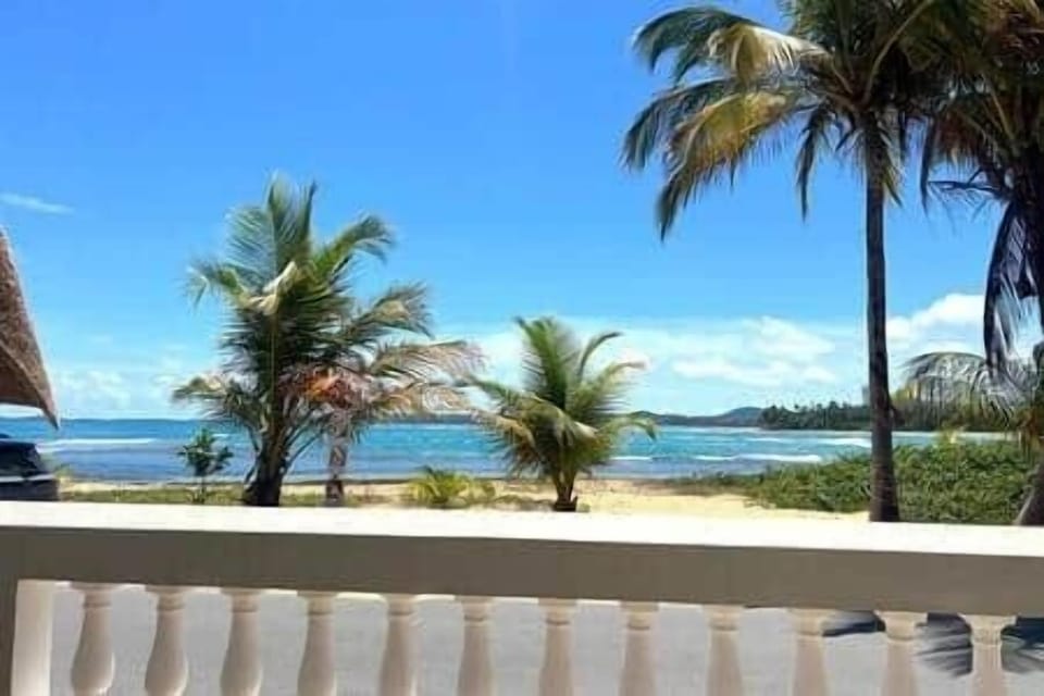 The view 