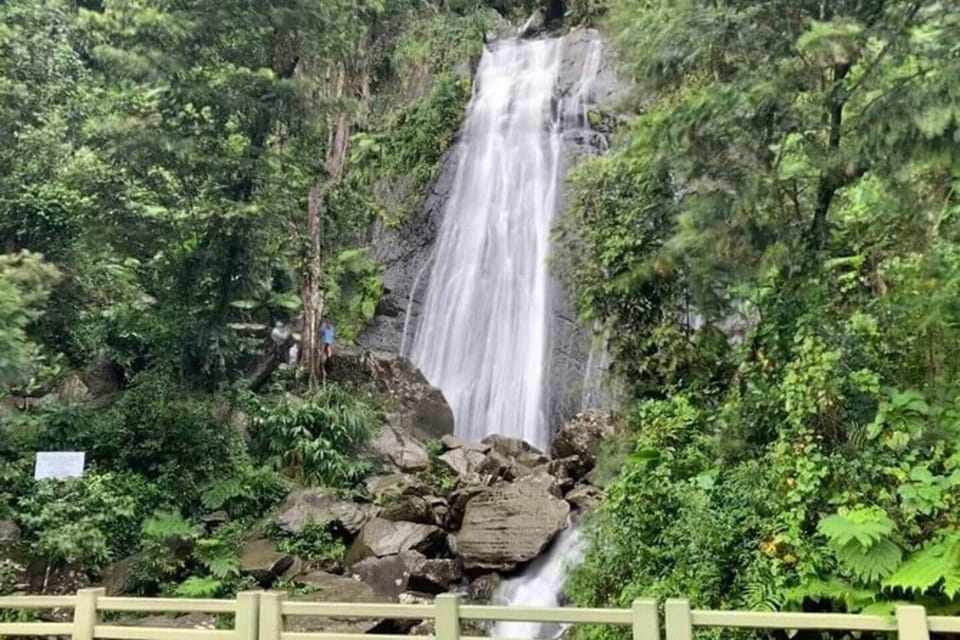National Forest- El Yunque