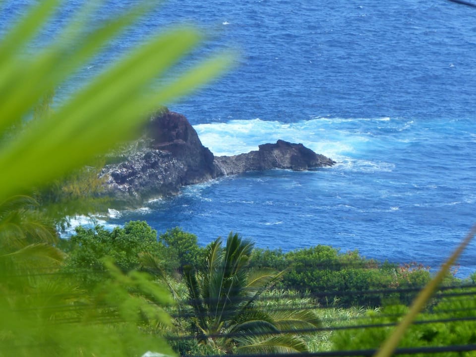 APP. LE BEL Ocean view Billikers