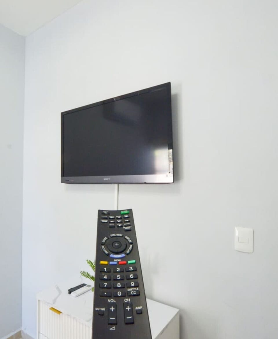 Television
