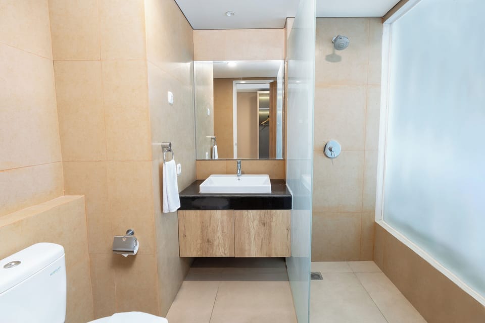 Hair dryer, towels, soap, shampoo