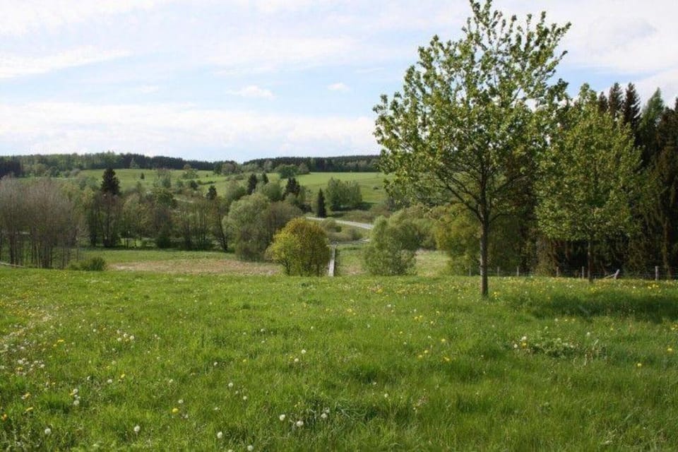 Region [summer] (>5 km)