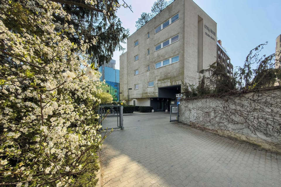 An exterior shot looking down a narrow paved courtyard or alleyway between stone walls and hedge plants, with the apartment building visible at the end.
