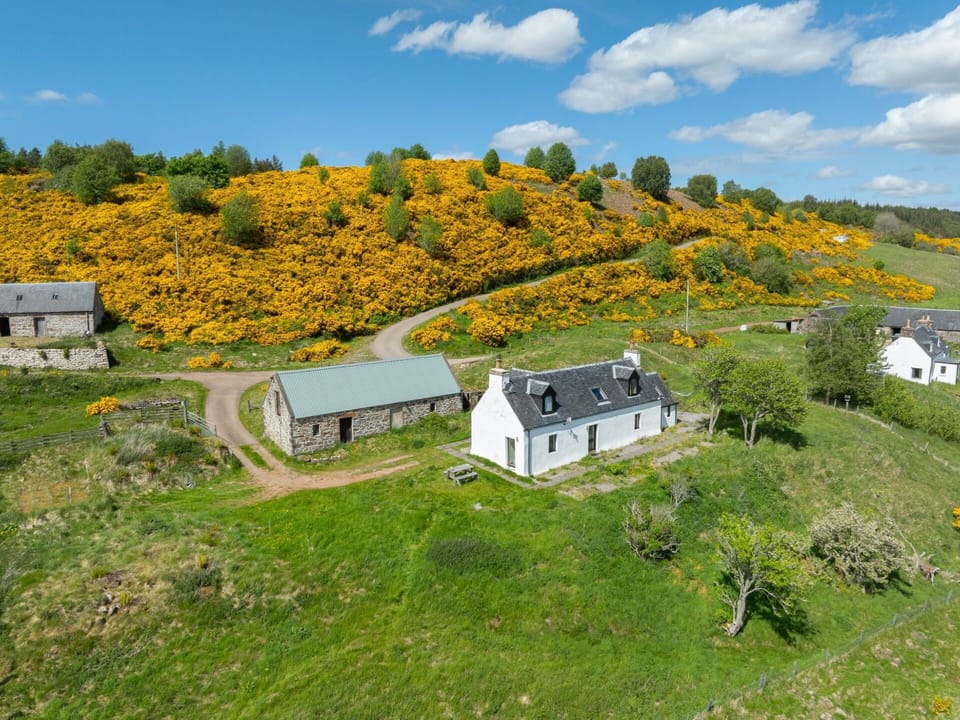 Grass, Vegetation, Shrub, Grassland, Rural Area, Landscape, Cottage, Plant Community, Land Lot, Human Settlement