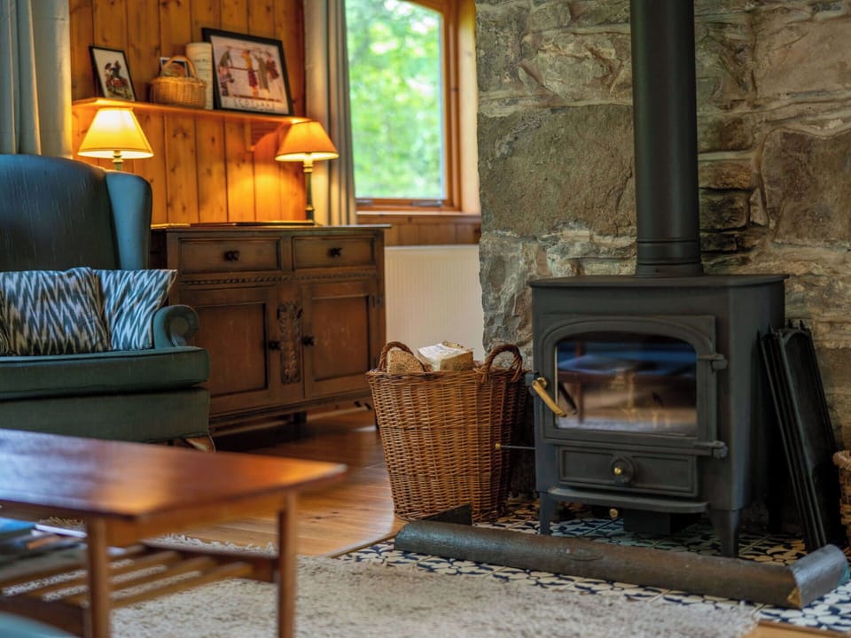 Furniture, Hearth, Flooring, Wood, Interior Design, Floor, Lighting, Living Room, Wood-Burning Stove, Fireplace