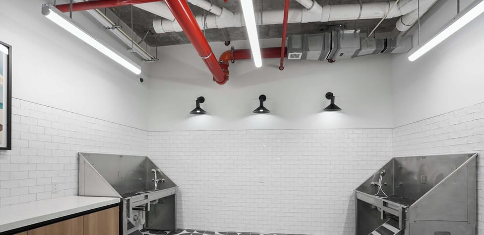 Pet spa with dedicated wash stations, perfect for pampering your furry friends.