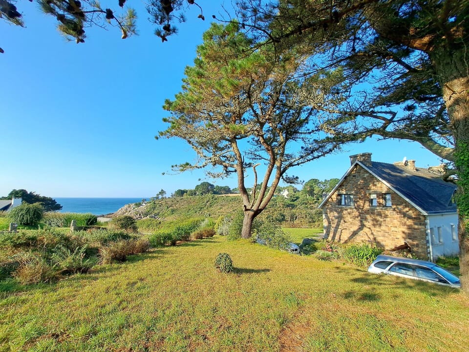 House | Garden