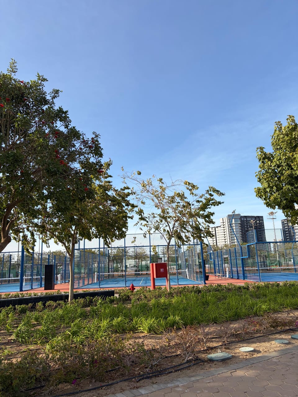 Sport court