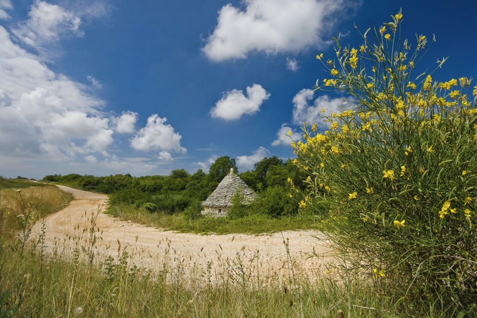 Rural landscapes around Vodnjan