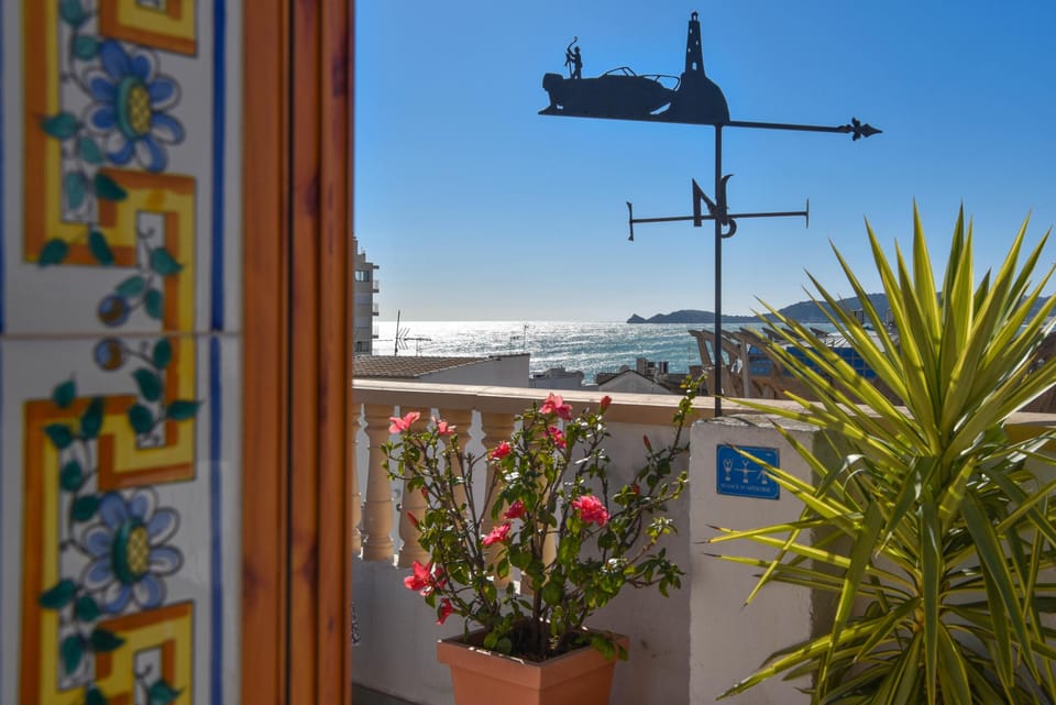 View from the terrace over the surroundings