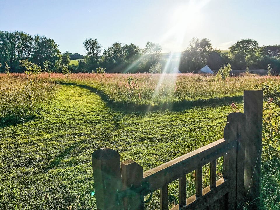 View | Fisherman&rsquo;s Cabin - Wild Meadow Camping, Plwmp
