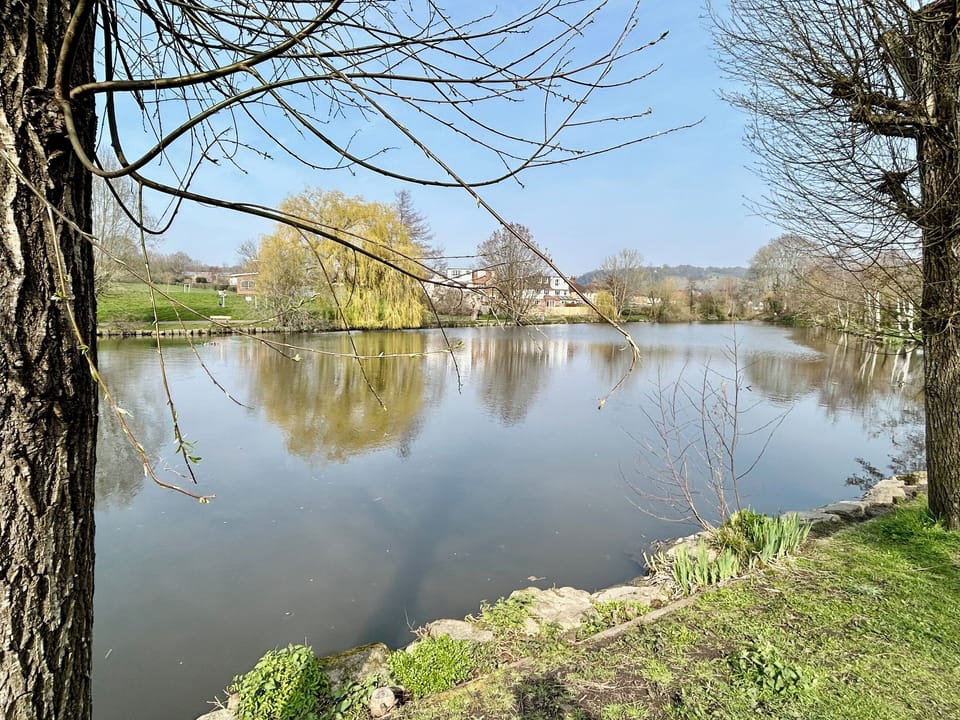 Surrounding area | The Cycling Cottage, All Surrey