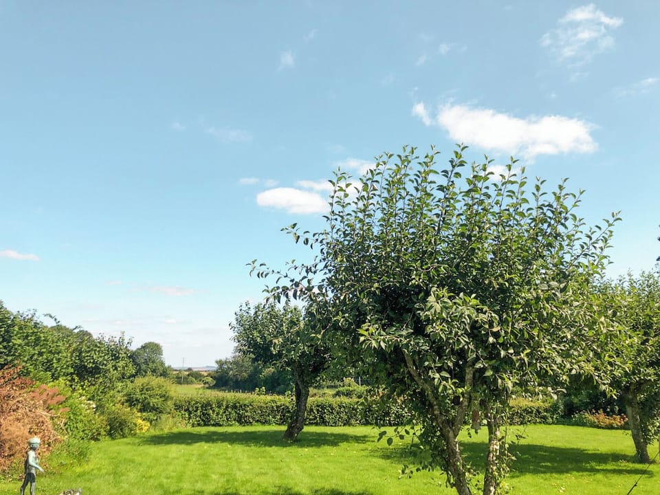 Garden | Sunnyside, Ashmore, near Shaftesbury,