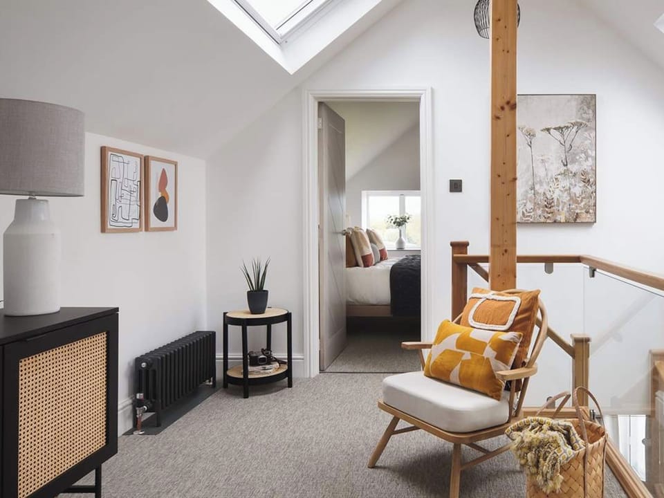 Interior | Acacia, Black Dog