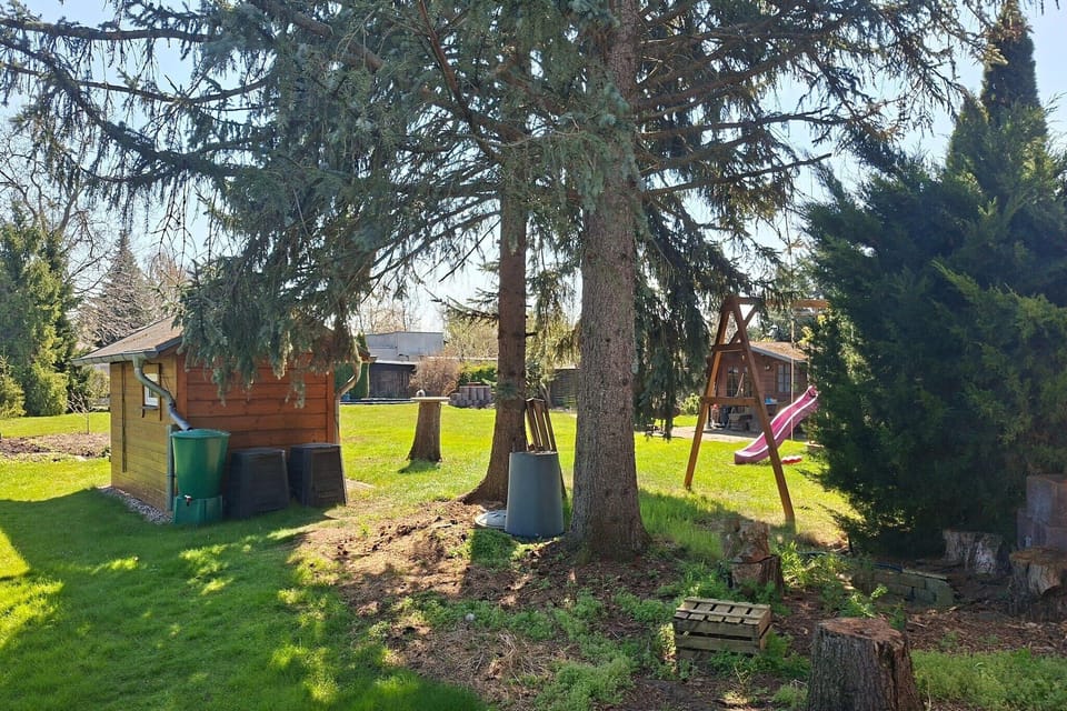 Garden [summer]