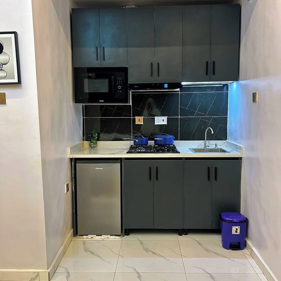 Deluxe Apartment, Balcony, City View | Private kitchen | Fridge, microwave, oven, stovetop