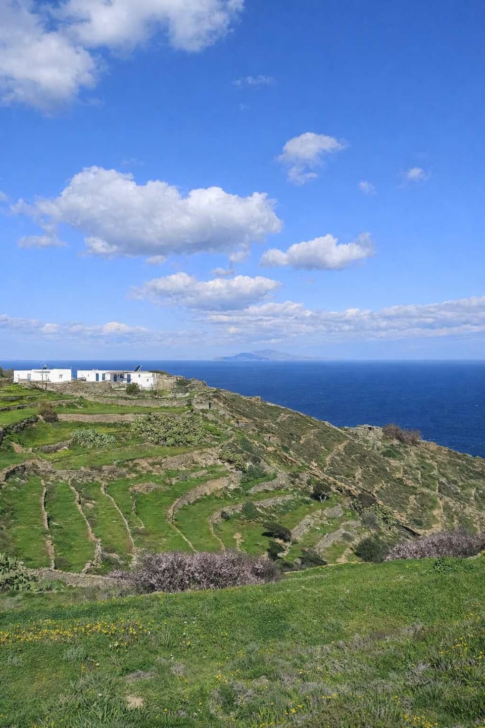 Endless landscapes