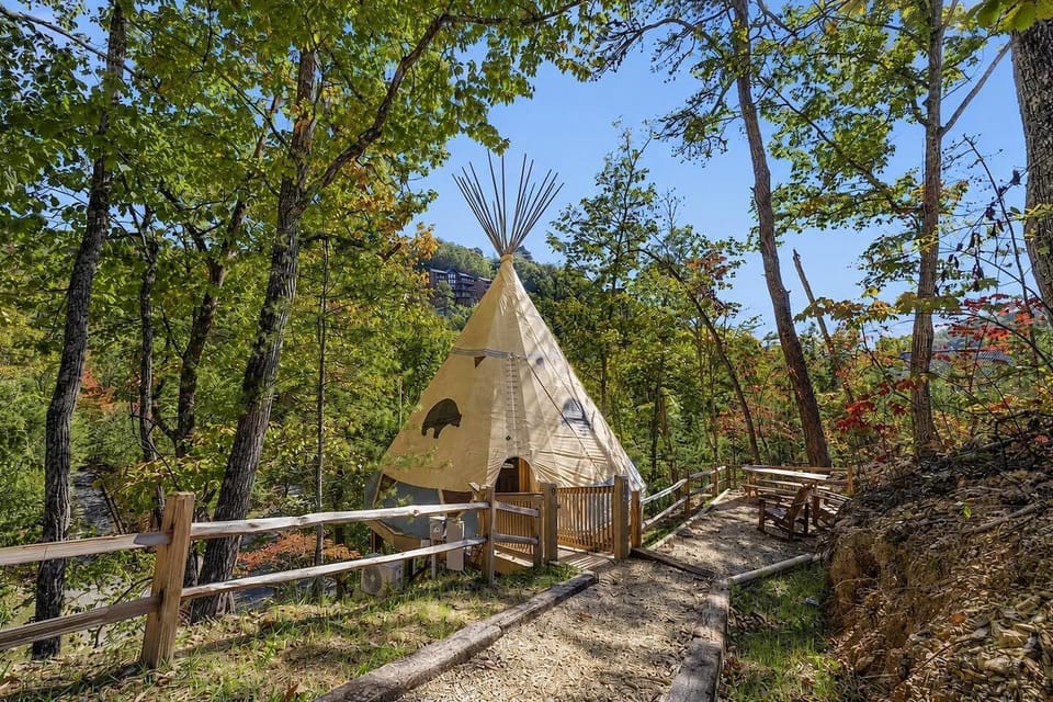 Charming daytime perspective of the unique teepee nestled among lush forest.