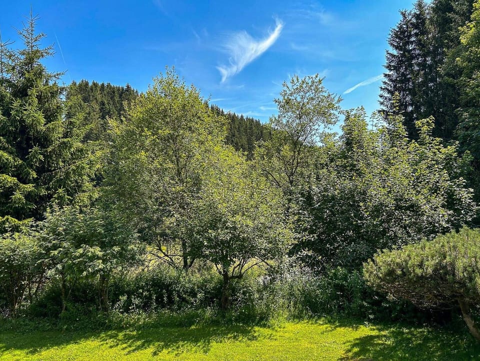 Apartment | View from property