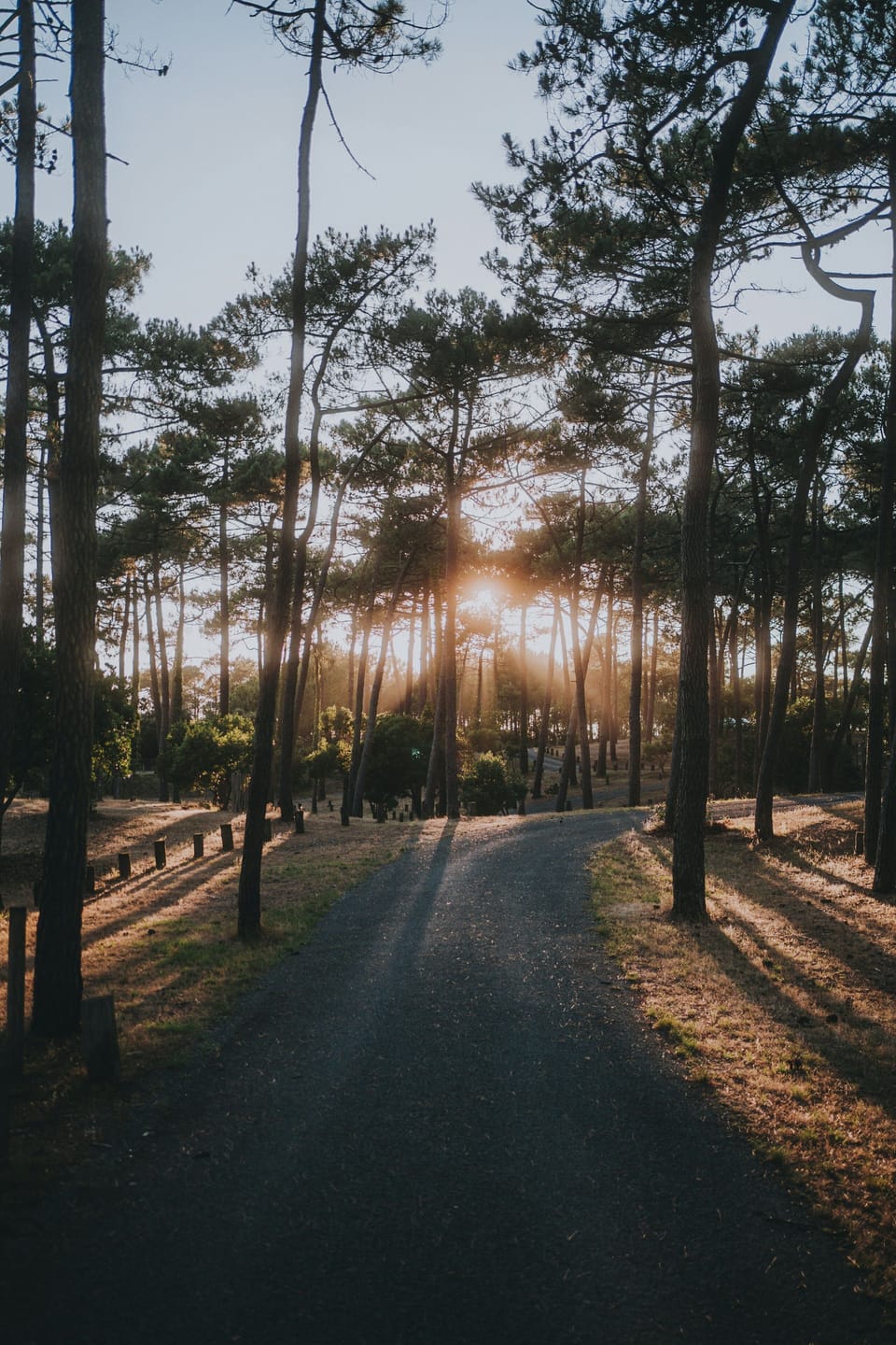 Peaceful walks in Lacanau