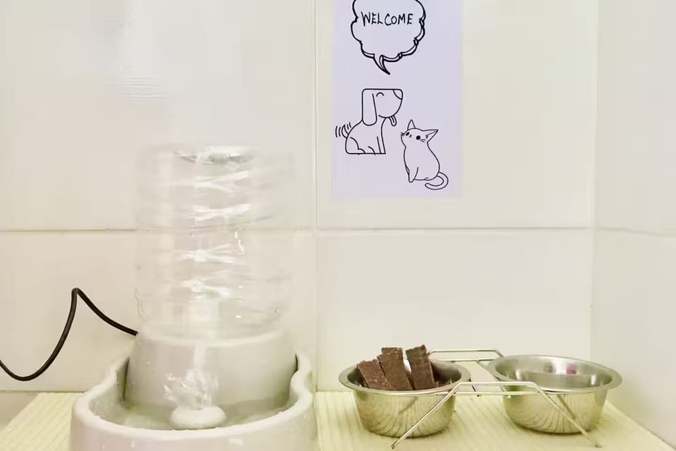 Miscellaneous
