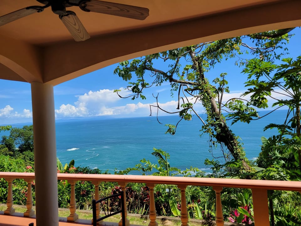 views from the downstairs covered porch