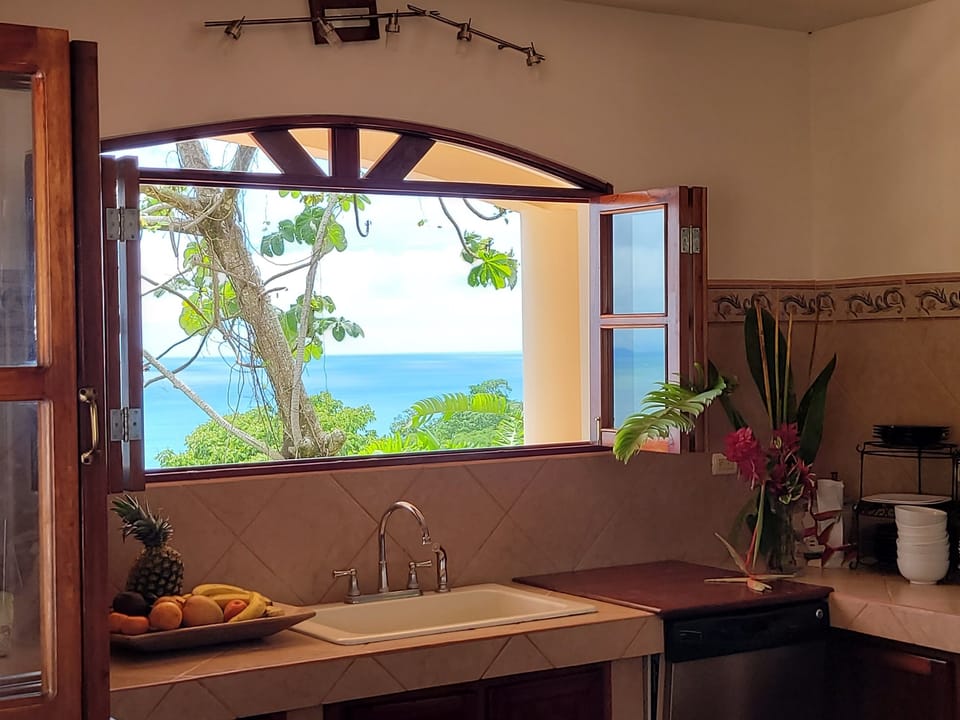 Best kitchen view around!