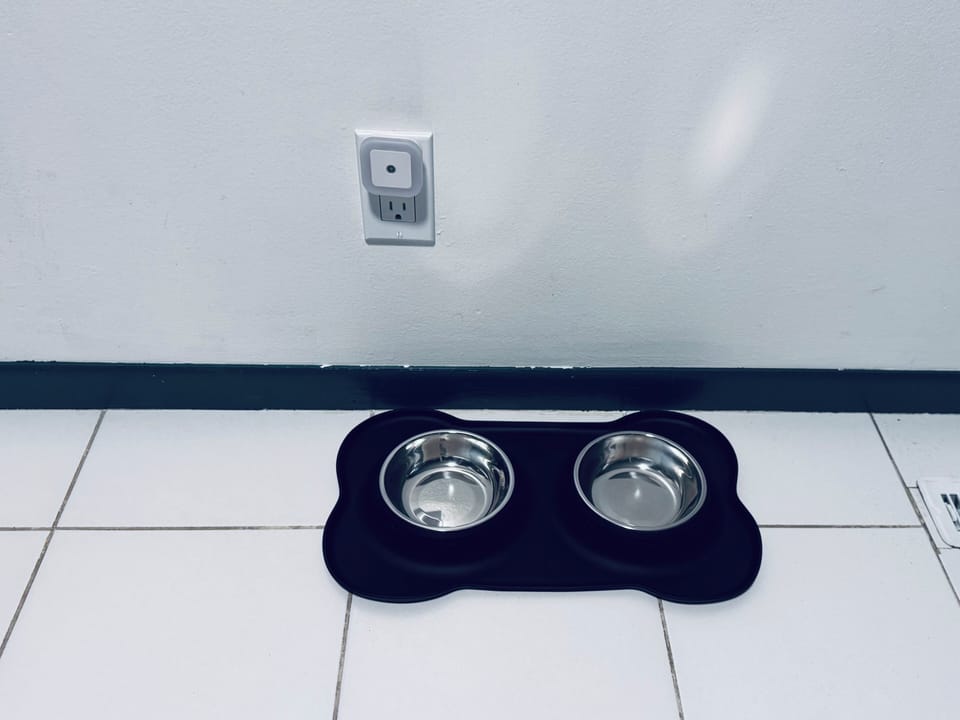 Your dog eats well here too. Stainless steel food and water bowls are ready on a