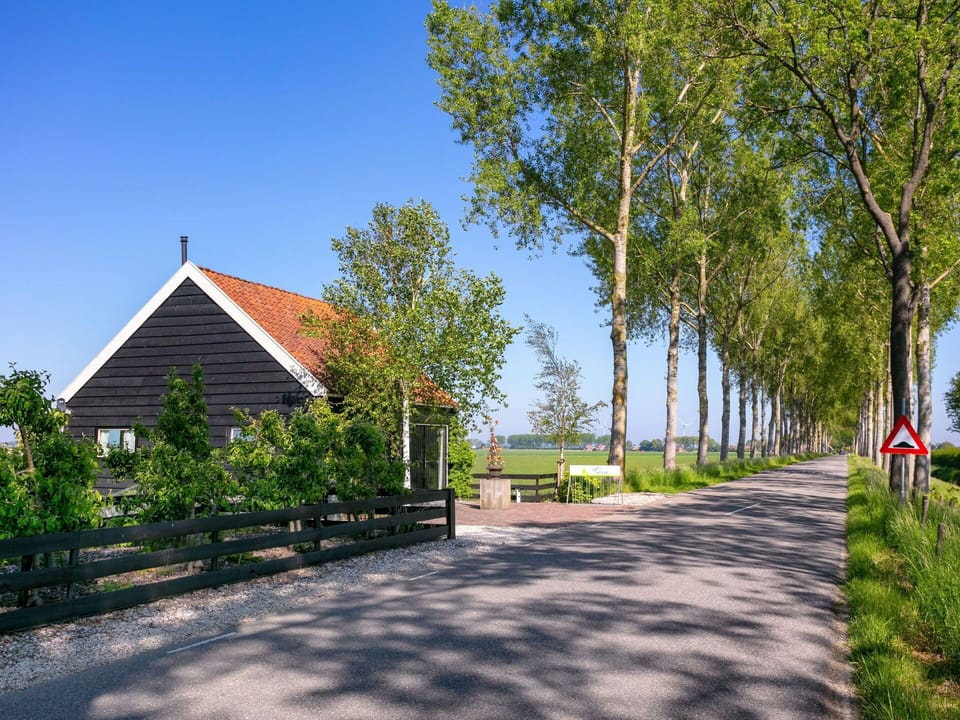Plant, Sky, Building, Tree, Road Surface, Shade, Natural Landscape, House, Vegetation, Land Lot