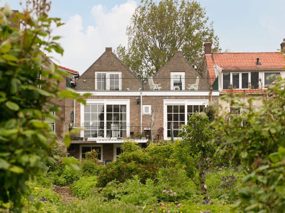 Plant, Building, Sky, Window, Property, House, Tree, Vegetation, Land Lot