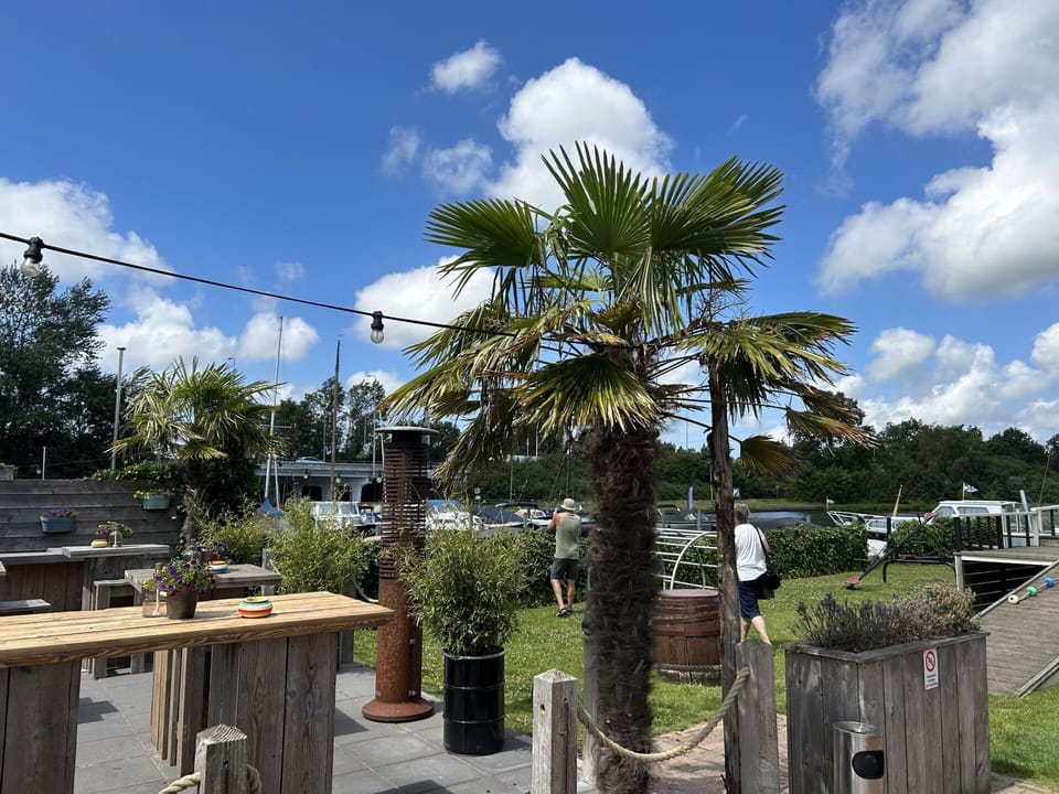 Flowerpot, Shade, Houseplant, Outdoor Furniture, Walkway, Eco Hotel