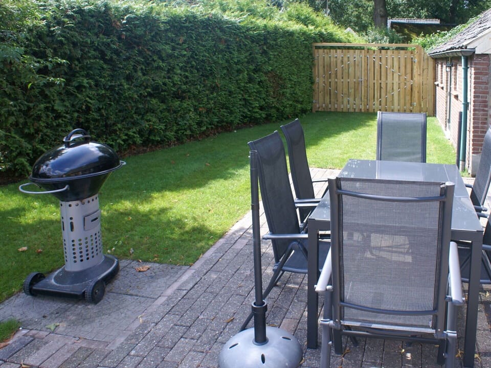Plant, Chair, Outdoor Furniture, Folding Chair, Tree, Grass, Armrest, Public Space, Gas, Leisure