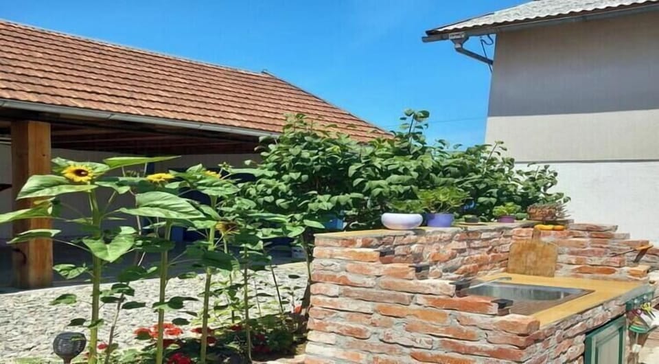 Garden [summer]