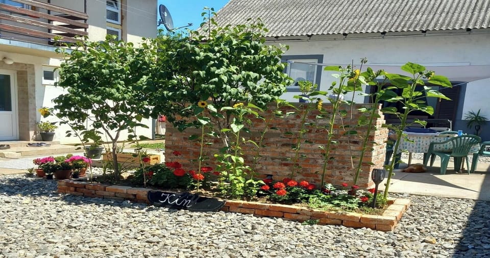 Garden [summer]