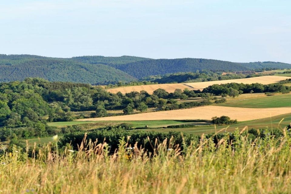 Region [summer] (>5 km)